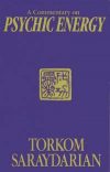 Commentary on Psychic Energy