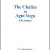 Chalice in Agni Yoga - Booklet