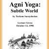 DVD #050 - Agni Yoga (Subtle World)