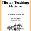 DVD #111 - Tibetan Teaching (Adaptation)