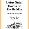 DVD #126 - Lotus Sutra (How to Be Like Buddha)