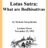 DVD #144 - Lotus Sutra (What Are Bodhisattvas)