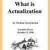 DVD #226 - What is Actualization