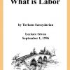 DVD #292 - What Is Labor