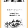 DVD #296 - Contemplation