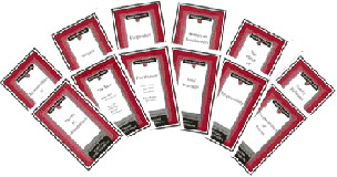 Family Values Booklets - 12 Booklet Package