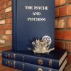 Psyche & Psychism (2 Volume Set) - Hardcover