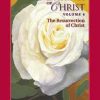 Teachings of Christ, Vol. 4: The Resurrection of Christ