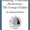 Building Universal Awareness ... The Group Chalice- #05 Scorpio