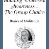 Building Universal Awareness ... The Group Chalice- #08 Aquarius