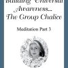 Building Universal Awareness... The Group Chalice- #09 - Pisces