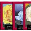 Teachings of Christ: 4-Volume Set