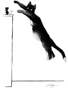 cat