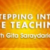 T500V Stepping Into the Teaching - Year 5