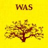 I Was (The Journey of a Wise Woman)