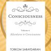 Consciousness Vol. 2: Adventures in Consciousness (2nd printing)